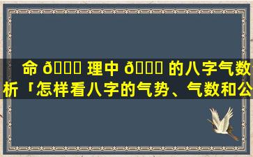 命 🐎 理中 🐞 的八字气数分析「怎样看八字的气势、气数和公用」